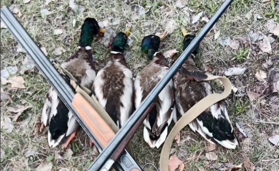 Саратовским охотникам напомнили, что нужно сделать по завершении весеннего сезона